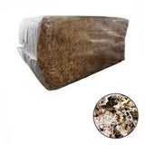 Chilean Sphagnum Moss (5 Kg)