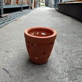 TC Orchid Pot (D) 11cm¯ x 9cmH