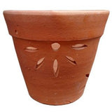 TC Orchid Pot (A) 25cmØ x 22cmH