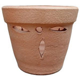 TC Orchid Pot (D) 11cmØ x 9cmH