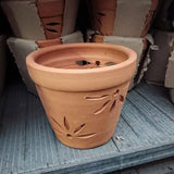TC Orchid Pot (B) 21cm¯ x 14cmH