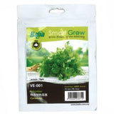 BABA Seed VE-001 Coriander - Obbo.SG