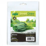 BABA Seed VE-013 Chinese Kale