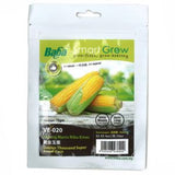 BABA Seed VE-020 Golden Thousand Super Sweet Corn