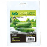 BABA Seed VE-024 Star-8 Cucumber