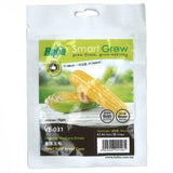 BABA Seed VE-031 Pearl Gold Sweet Corn