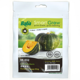 BABA Seed VE-032 Pumpkin Pioneer King