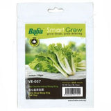 BABA Seed VE-037 Curly Wrap Wong King Pak Choy