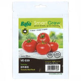 BABA Seed VE-039 Tomato Red Rock