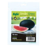 BABA Seed VE-055 Ice Box Watermelon 精品西瓜