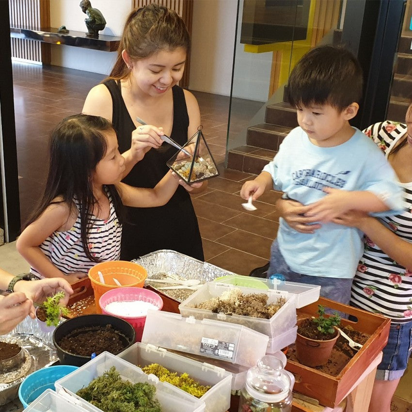 Close Terrarium Workshop - Obbo.SG