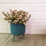 Concrete Pots with Legs - Obbo.SG