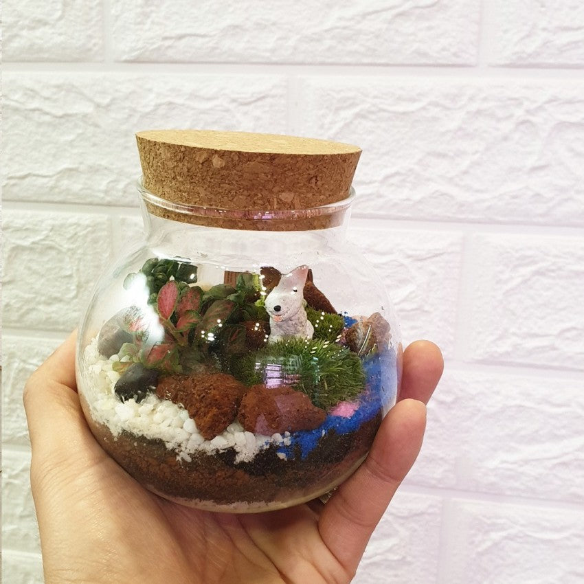 Cork Jar Terrarium - Obbo.SG