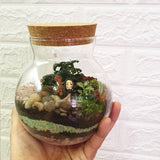 Cork Jar Terrarium