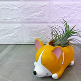 Dog pots series I - Obbo.SG