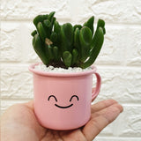 Enamel Succulent Pots (7cm) - Obbo.SG