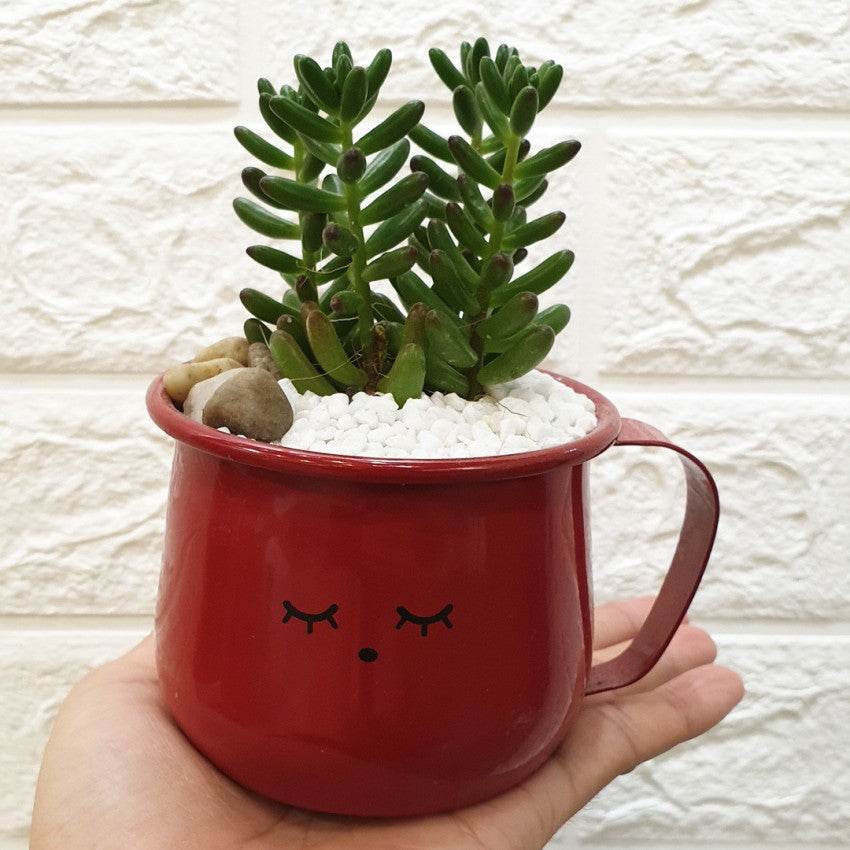 Enamel Succulent Pots (9cm) - Obbo.SG