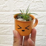 Enamel Succulent Pots (5cm) - Obbo.SG