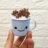 Enamel Succulent Pots (5cm) - Obbo.SG