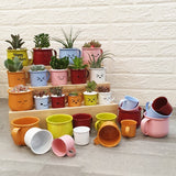 Enamel Succulent Pots (5cm) - Obbo.SG