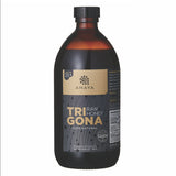 Raw Trigona Honey (Active 25+) 650g - Obbo.SG