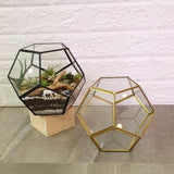 Geo Hexagon Terrarium - Obbo.SG