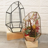 Geo Trapezium Terrarium - Obbo.SG