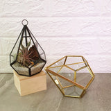 Geo Triangle Terrarium - Obbo.SG