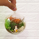 Globe Terrarium - Obbo.SG