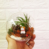 Globe Terrarium - Obbo.SG