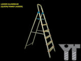 LADDER ALUMINIUM QUEEN 9 STEPS