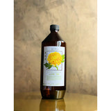 Liang Teh Kombucha | Large - Obbo.SG