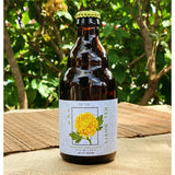 Liang Teh Kombucha - Obbo.SG