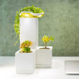 Modular Smart Pot - Sunshine Indoor - Obbo.SG