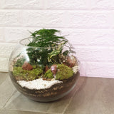 Open Spherical Terrarium - Obbo.SG