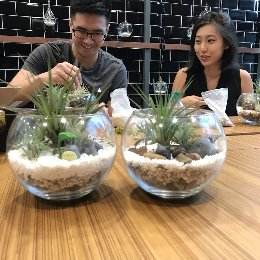 Open Terrarium Workshop - Obbo.SG