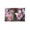 Flat Magnet - Design H - Obbo.SG