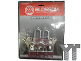 PADLOCK SECURITY KEY SET - MASTER KEY