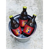 Singapore Sling Kombucha - Obbo.SG