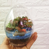 Egg Terrarium - Obbo.SG