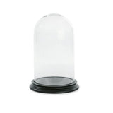 Ms Etoile - BE020 Small Glass Bell Jar Dome With Black Wooden Base