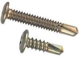 Wafer Head Drilling Screw 22mm
